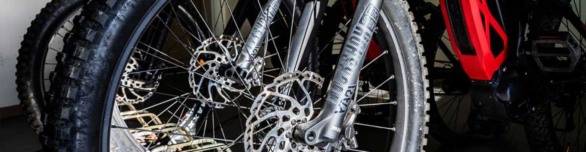 bike-nuove-img5