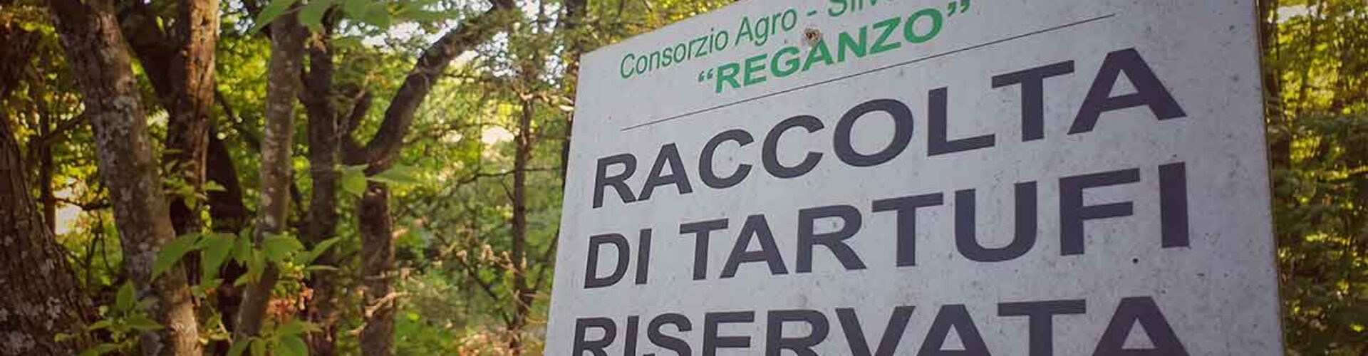 tartufi-img2